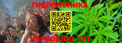 гидра Татарск