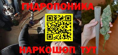 гидра Татарск