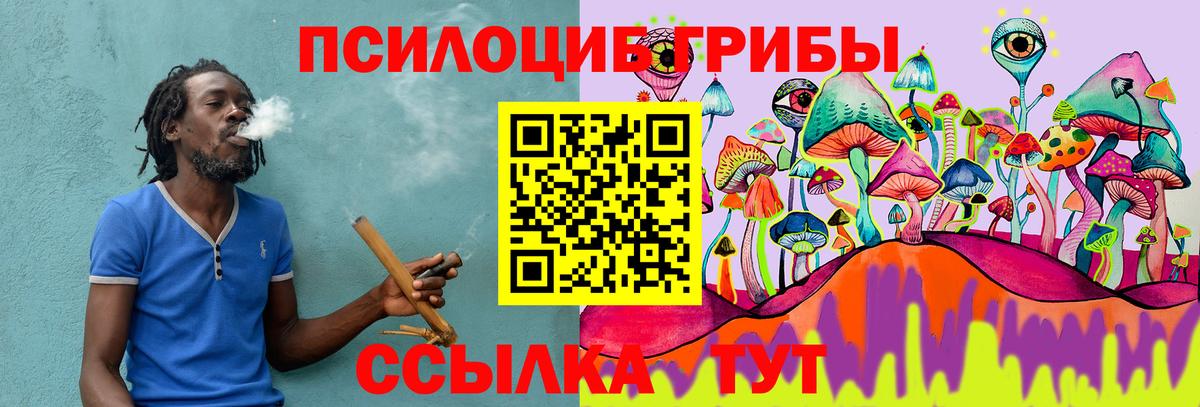Псилоцибиновые грибы прущие грибы Унеча