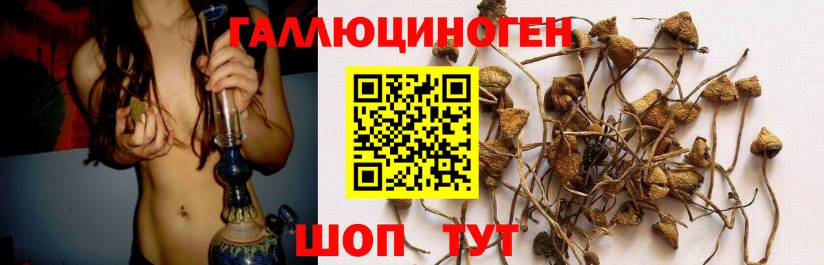 Галлюциногенные грибы Psilocybe  Вход с VPN  Унеча 